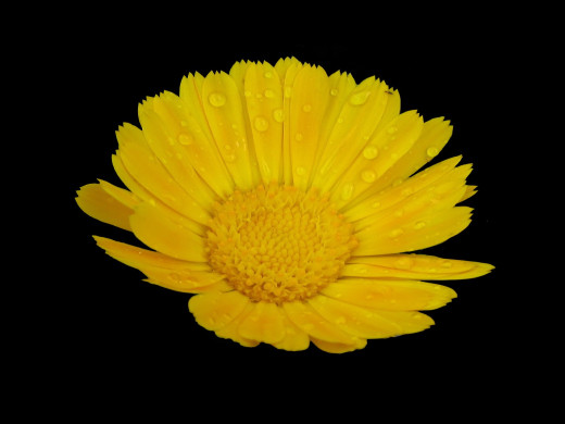 430108 (a): :1600x1200